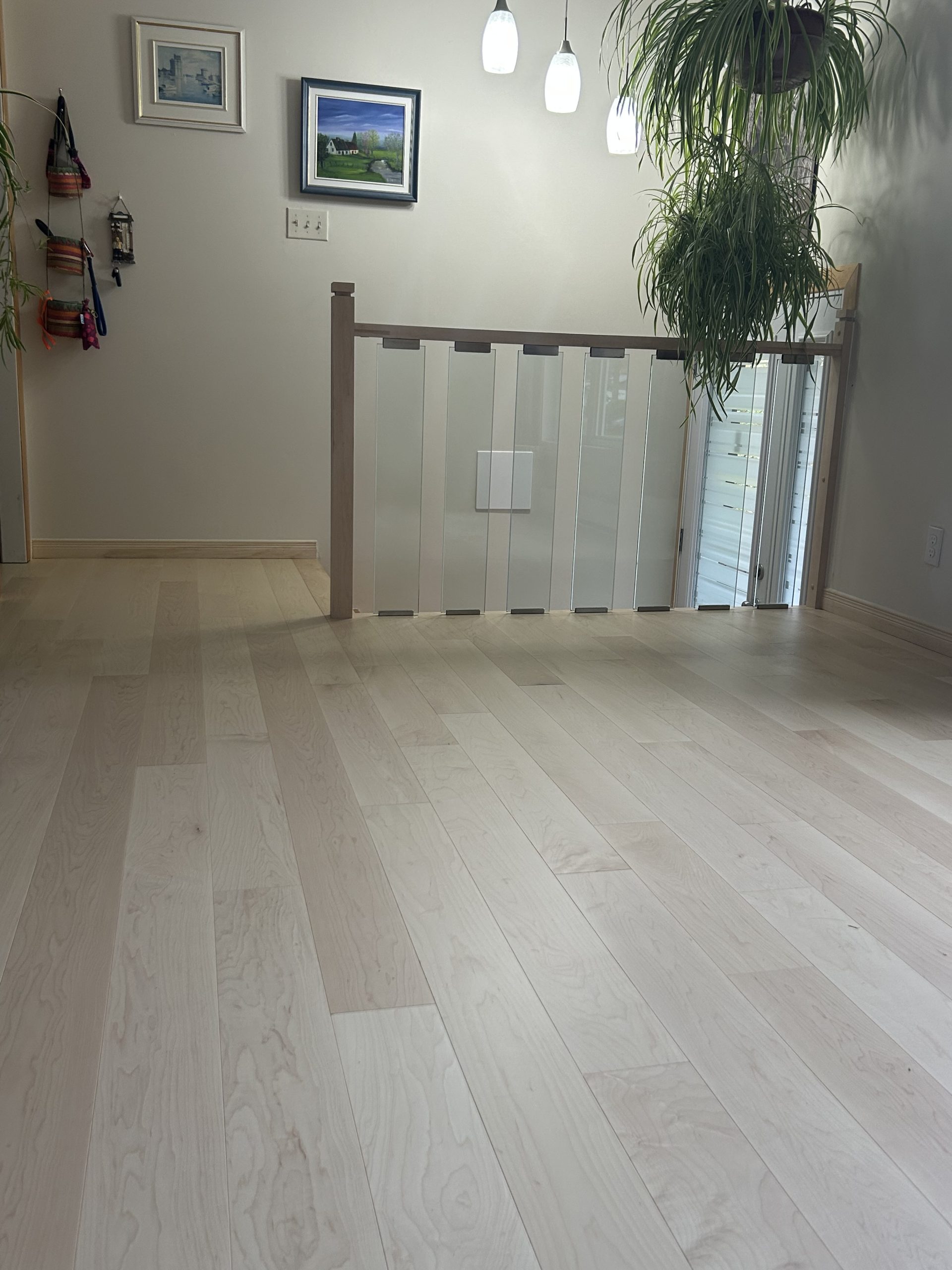 Hard Maple Raw
