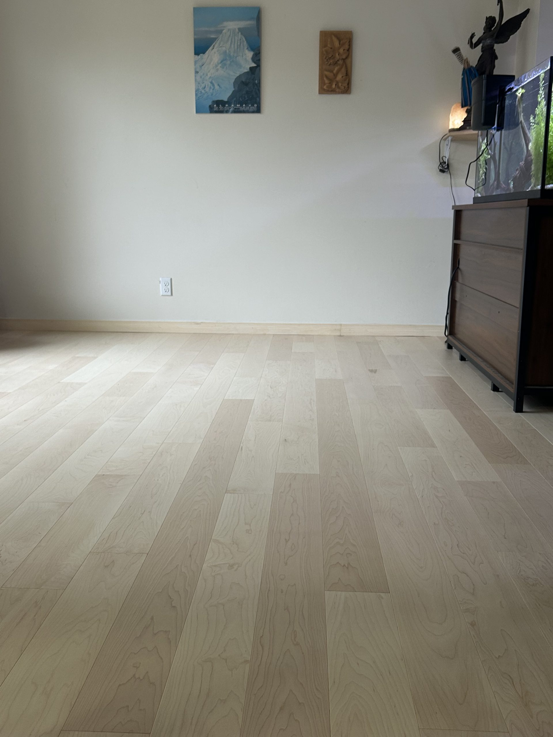 Hard Maple Raw