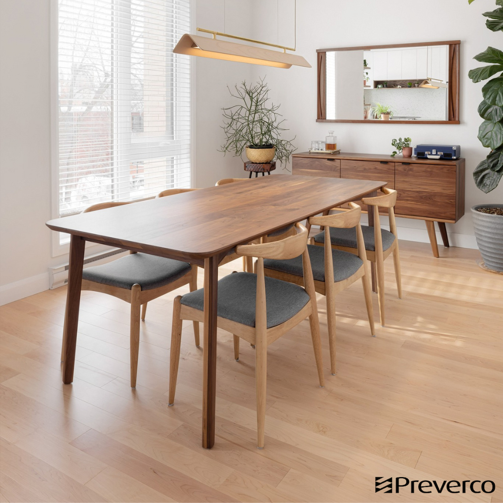 Érable Nuance (ambiance)