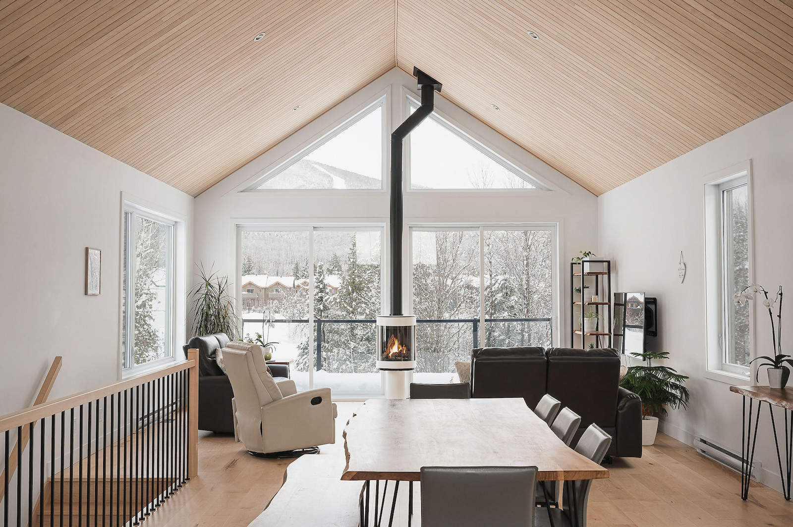 Érable Variation avec nœuds (V+) (ambiance)