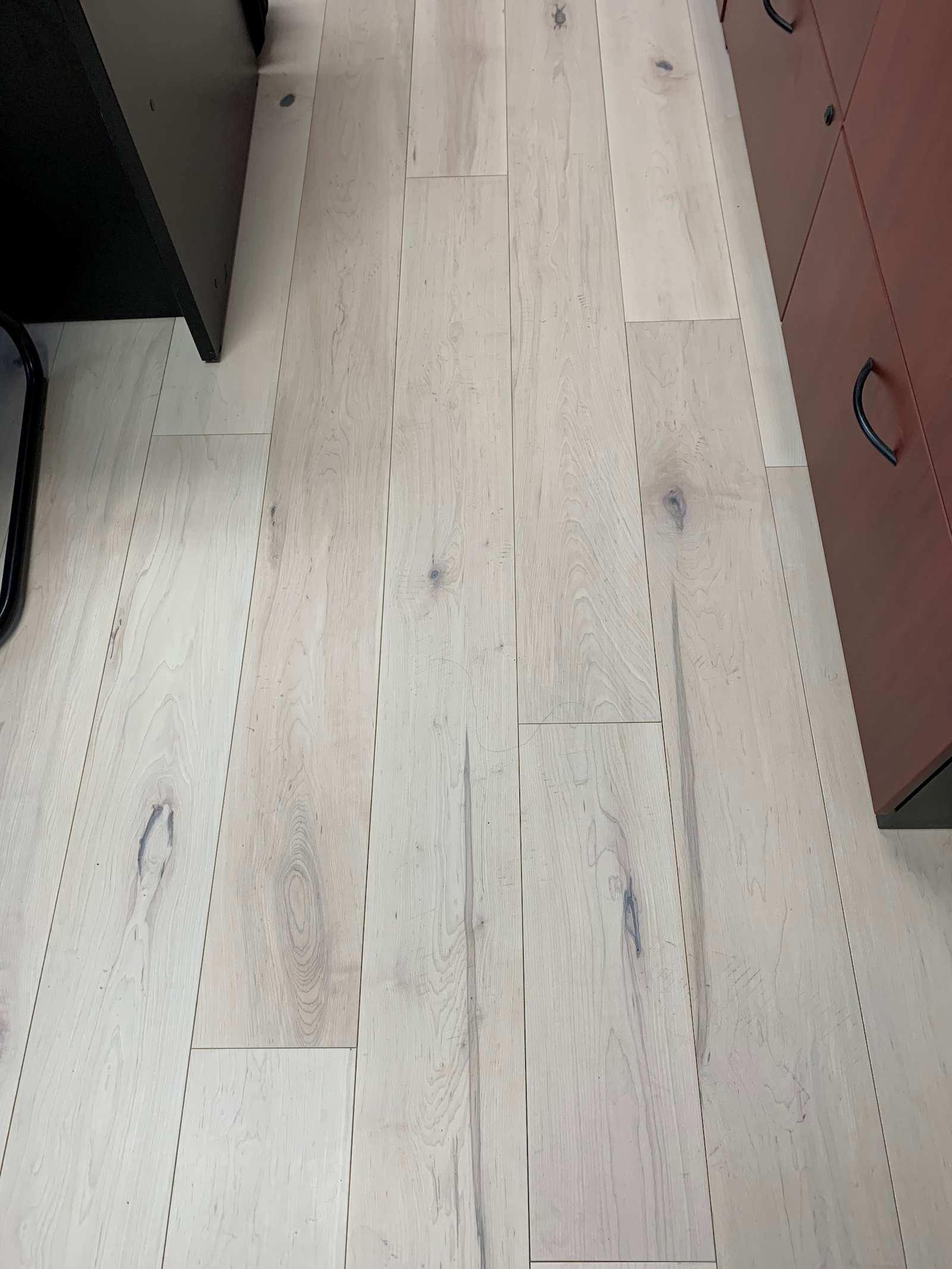 Érable Variation avec nœuds (V+) (ambiance)