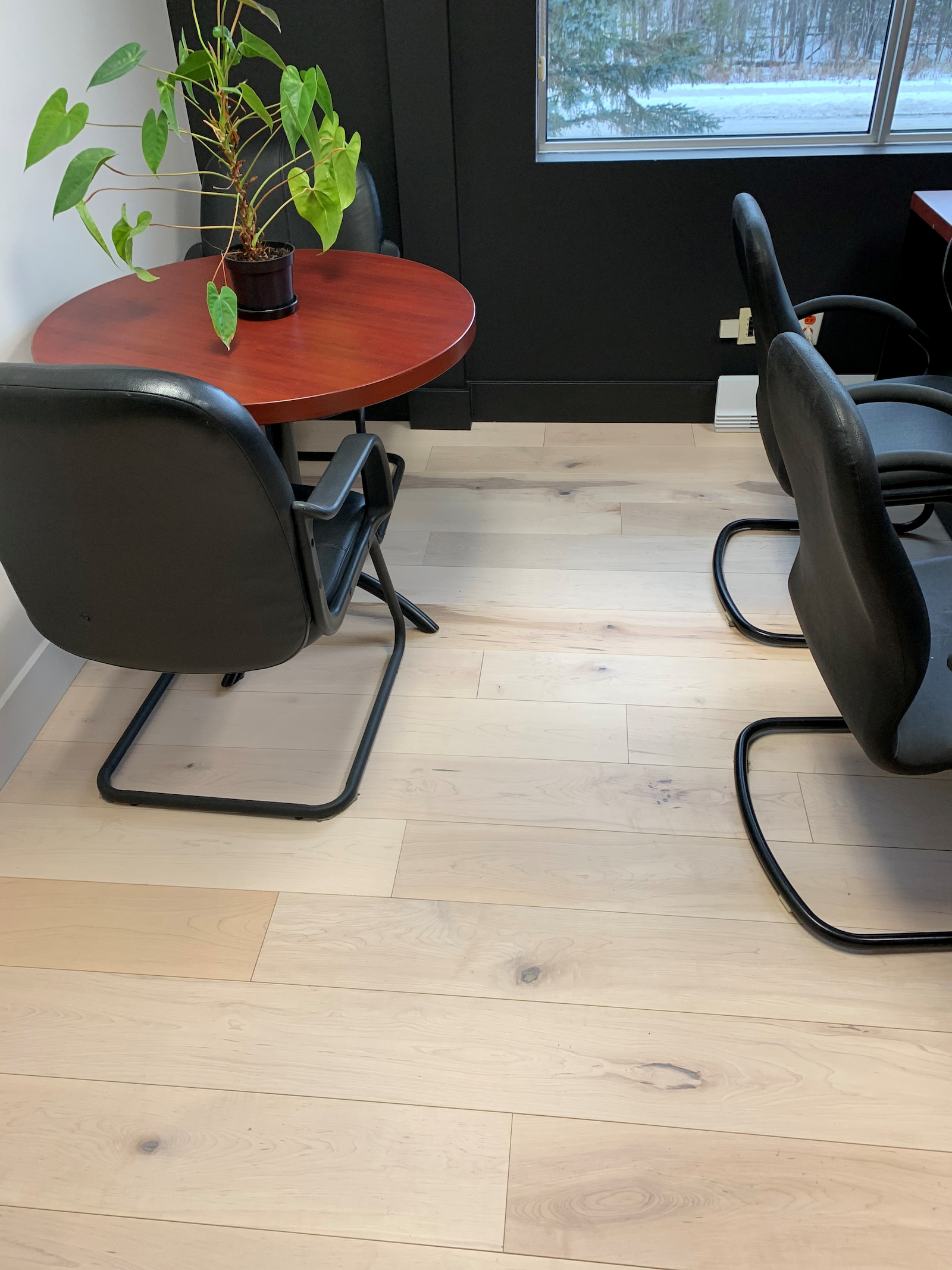 Érable Variation avec nœuds (V+) (ambiance)