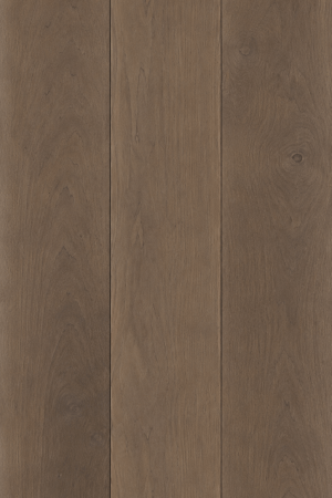 Maple Shadow