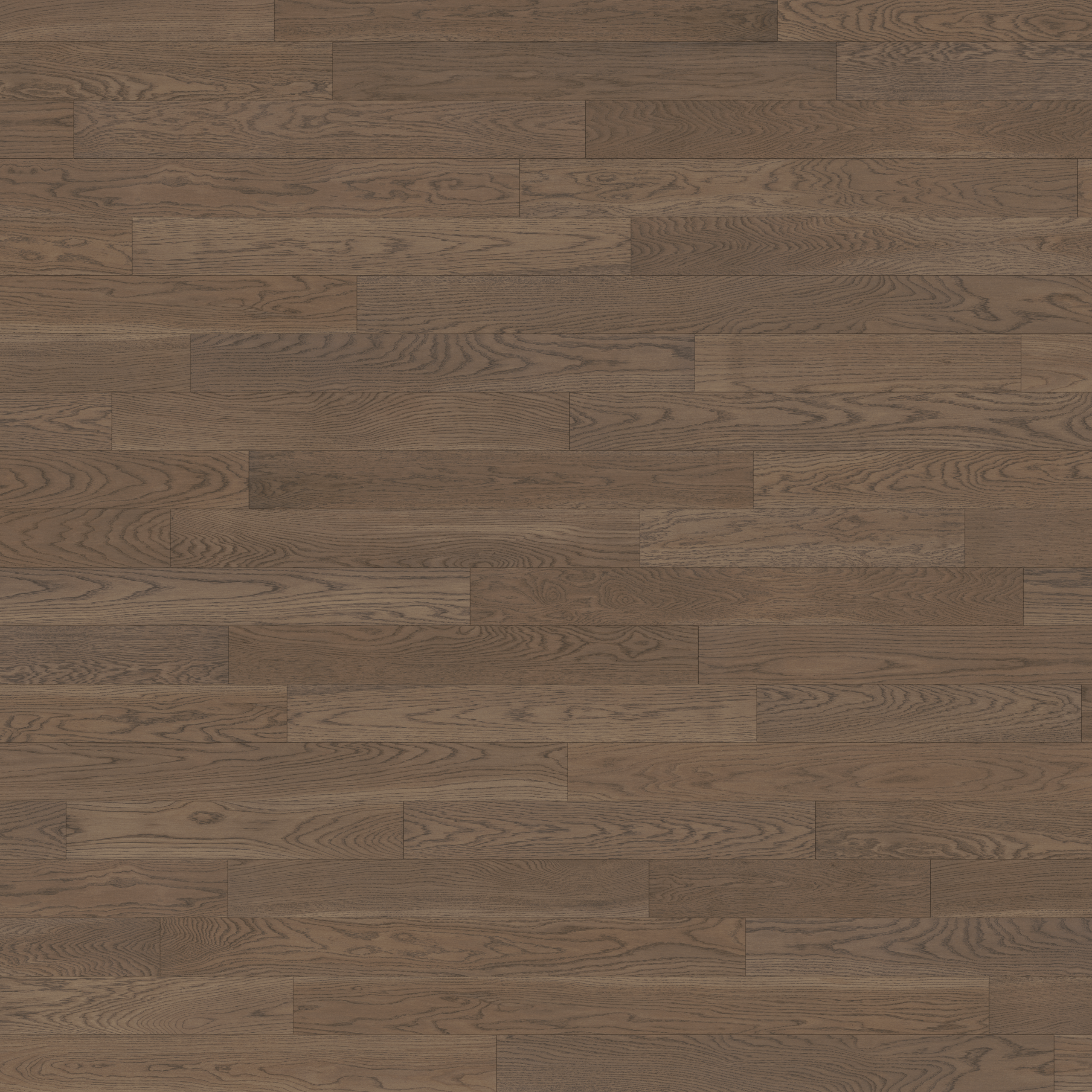 White Oak Shadow